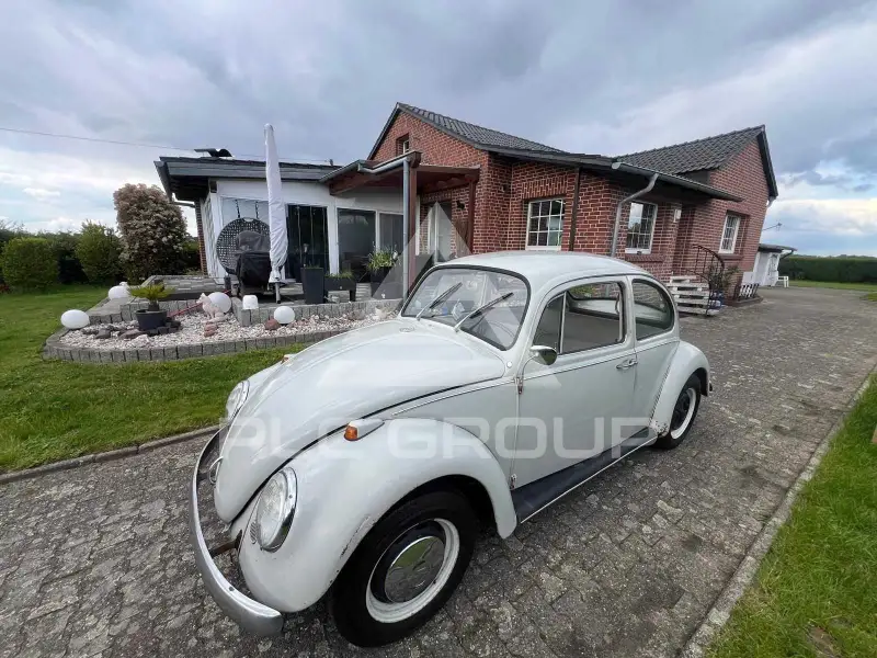 1967 Volkswagen BEETLE