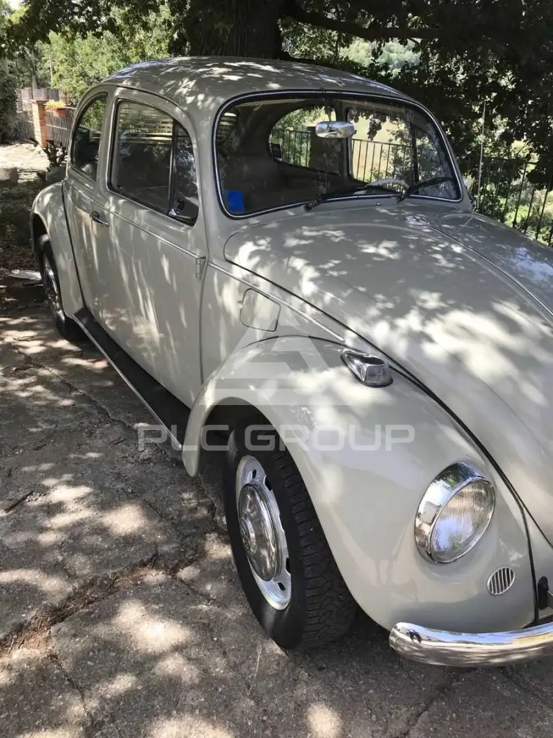 1967 Volkswagen BEETLE