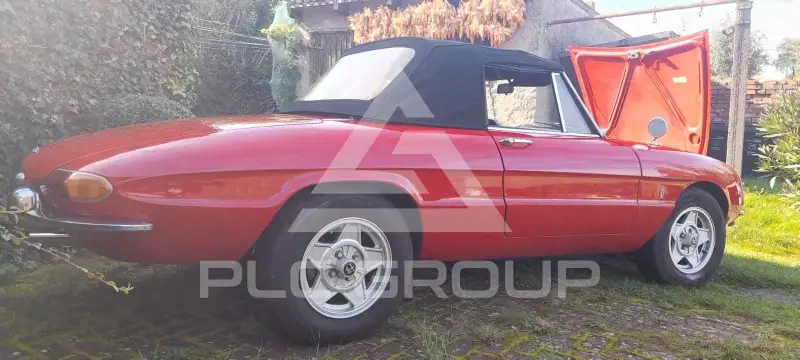 1968 Alfa Romeo Spider