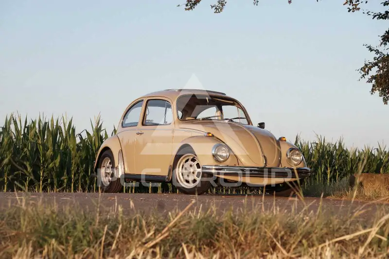 1969 Volkswagen BEETLE