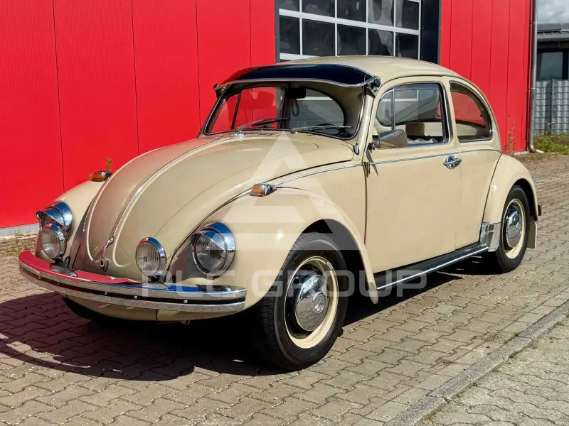 1969 Volkswagen BEETLE