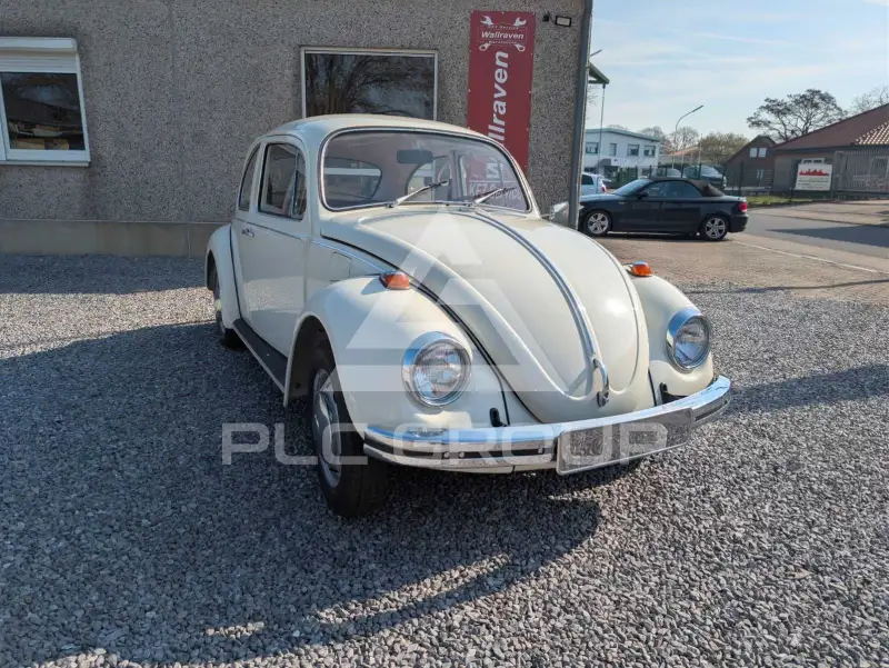 1970 Volkswagen 