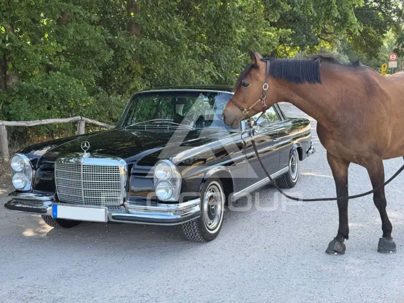 1971 Mercedes Benz 280