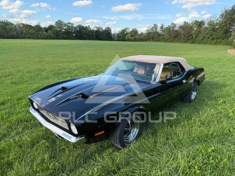 1971 Ford MUSTANG