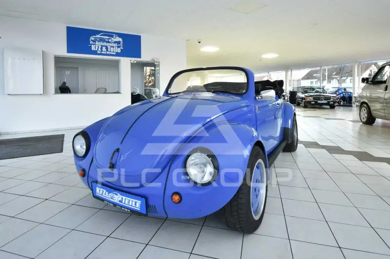 1971 Volkswagen Others