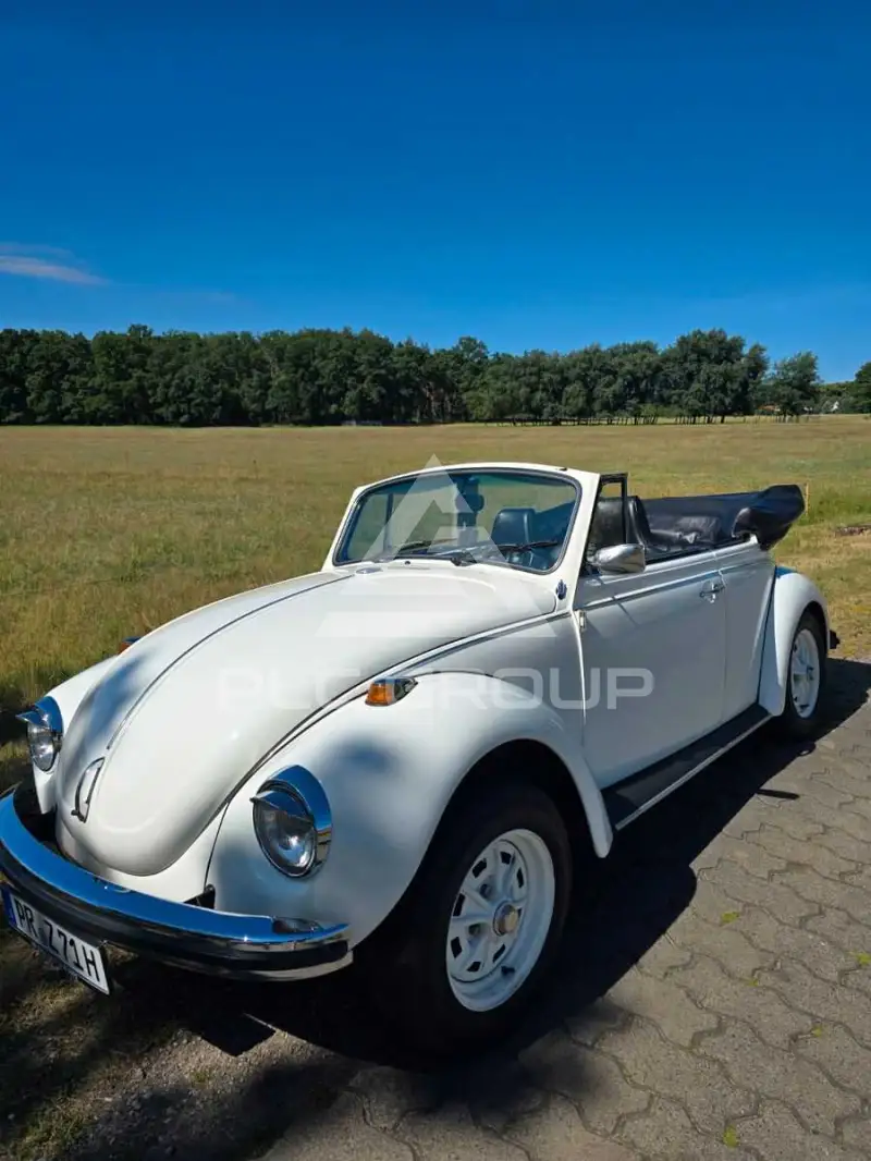 1971 Volkswagen BEETLE