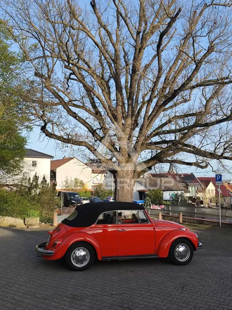 1971 Volkswagen BEETLE