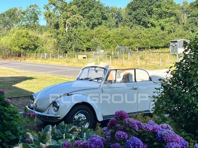 1972 Volkswagen 