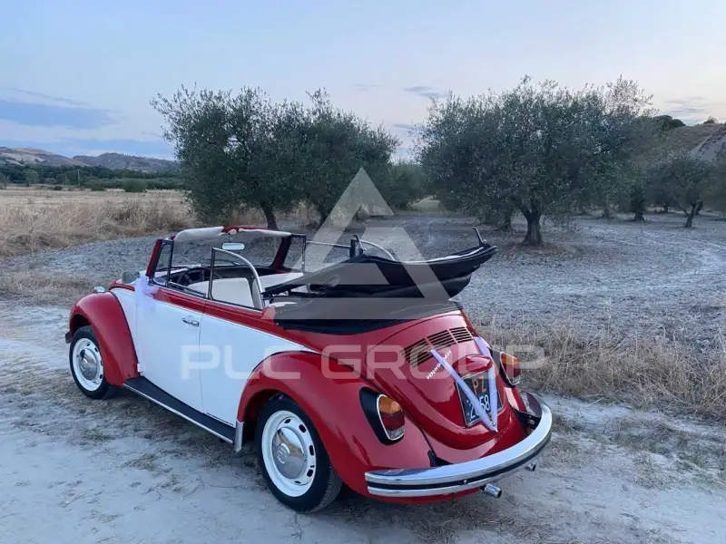 1972 Volkswagen 