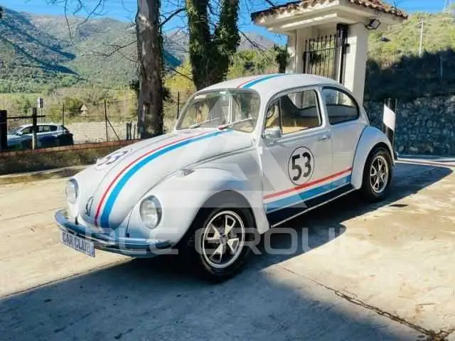 1972 Volkswagen 