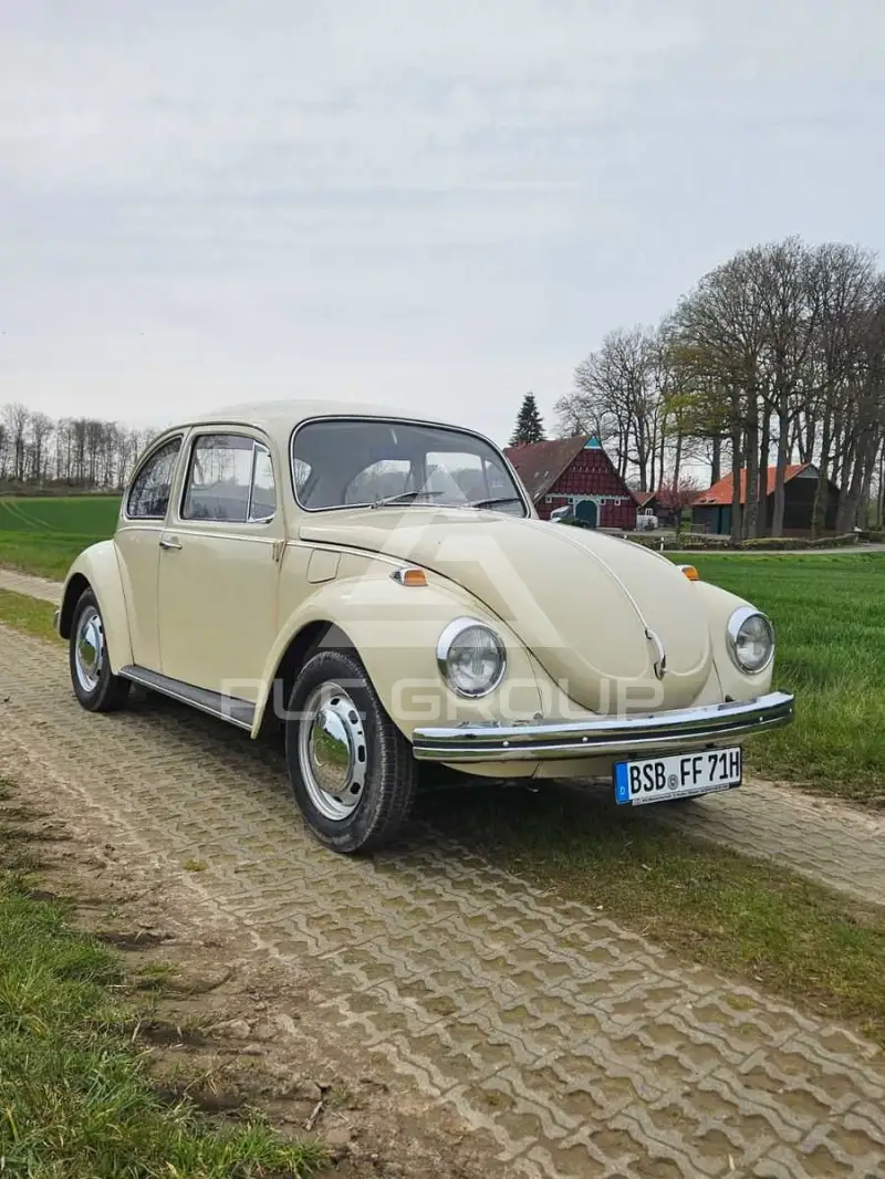 1972 Volkswagen 