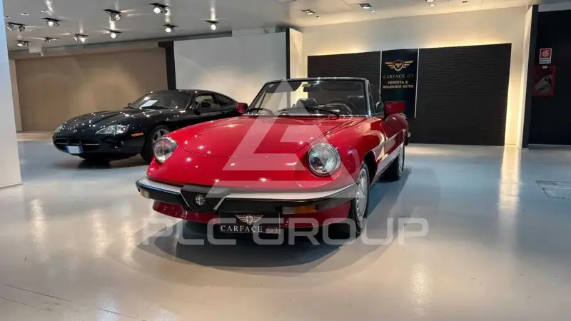 1973 Alfa Romeo Spider