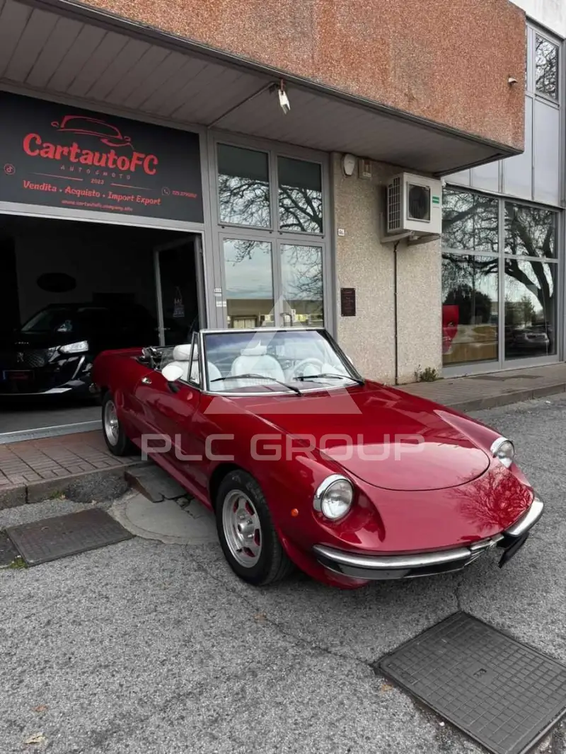 1973 Alfa Romeo Spider