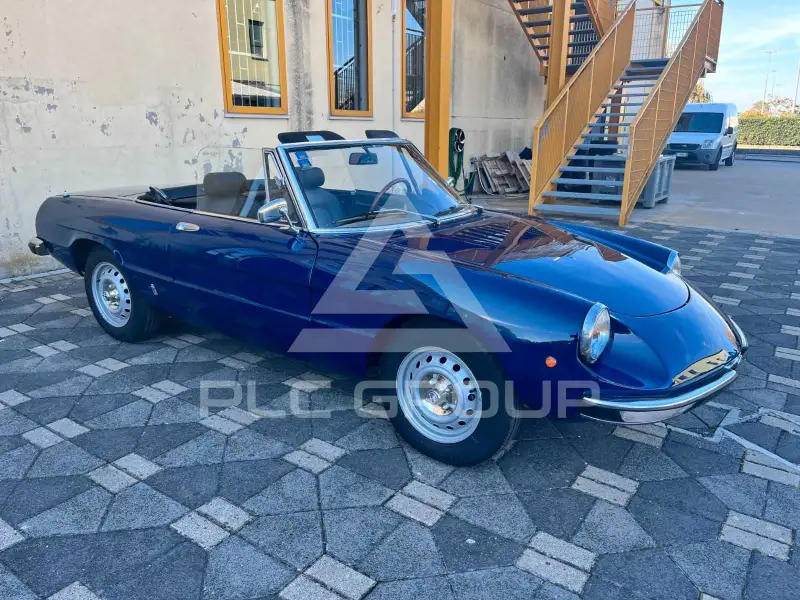 1973 Alfa Romeo Spider