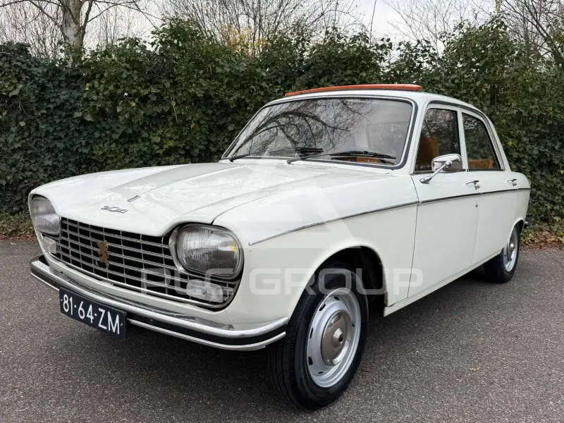 1973 Peugeot 204