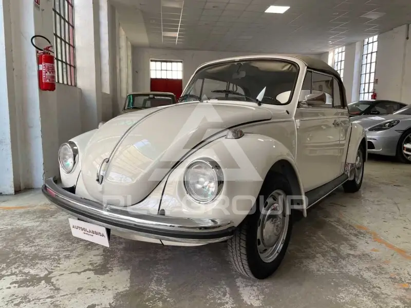 1973 Volkswagen 