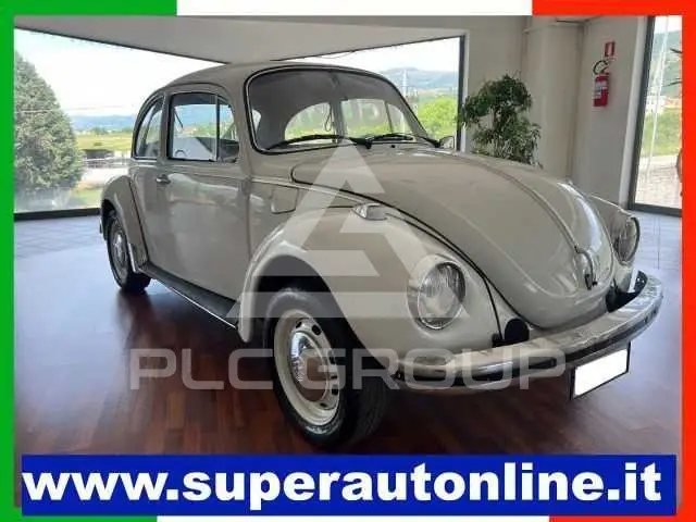 1973 Volkswagen 