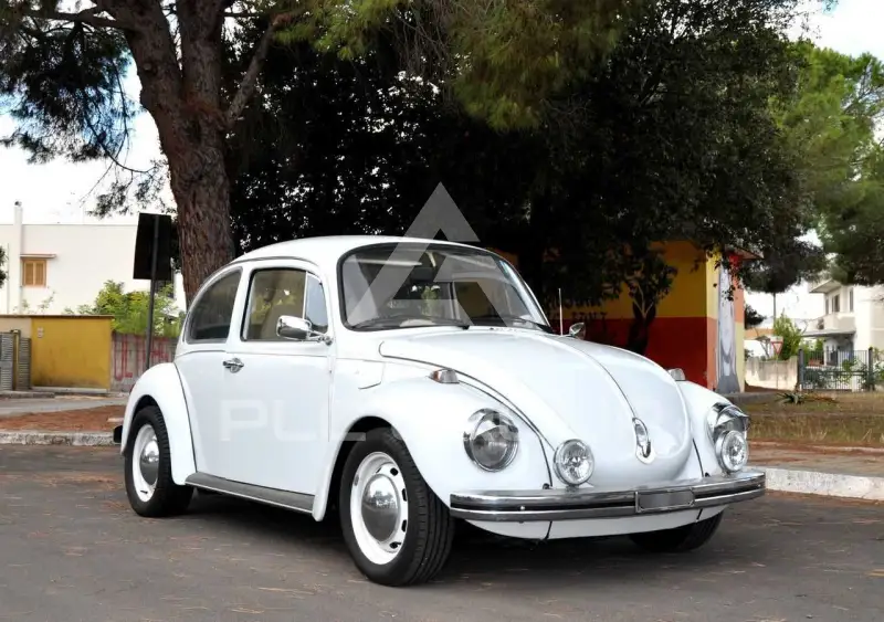 1973 Volkswagen 