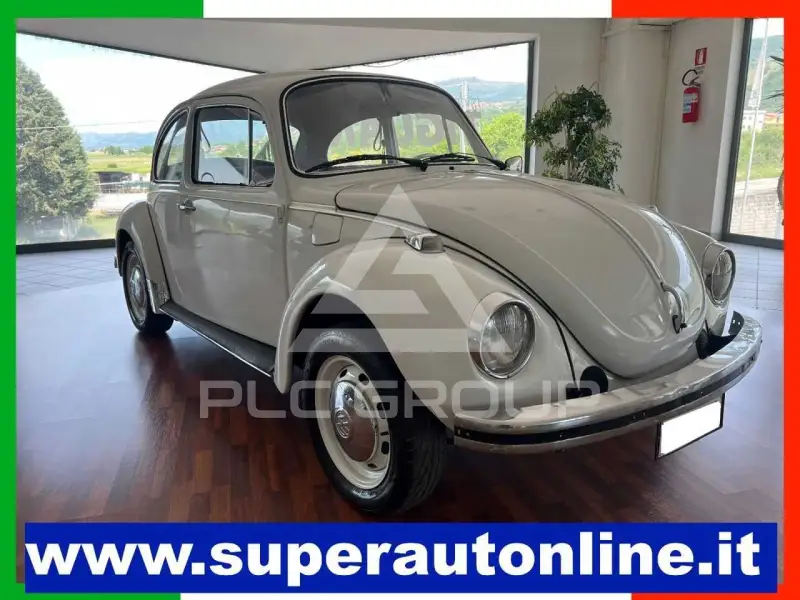 1973 Volkswagen 