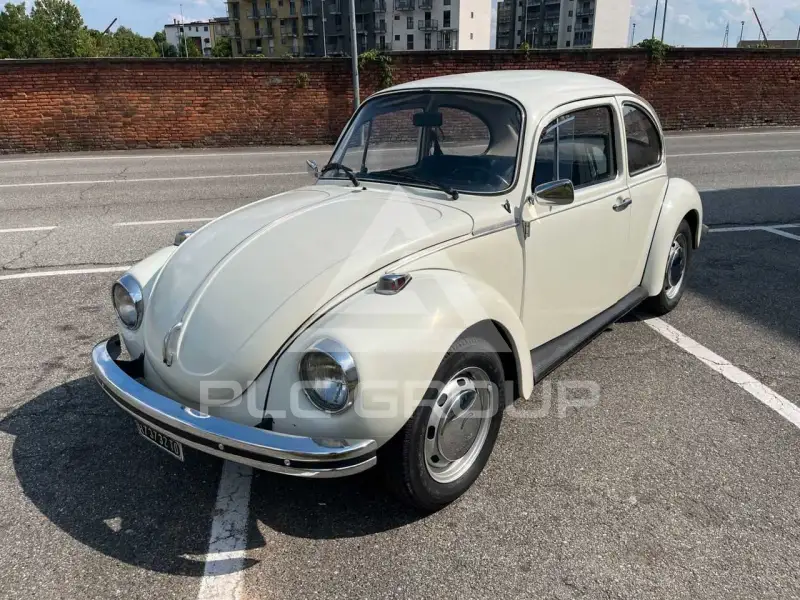 1973 Volkswagen 