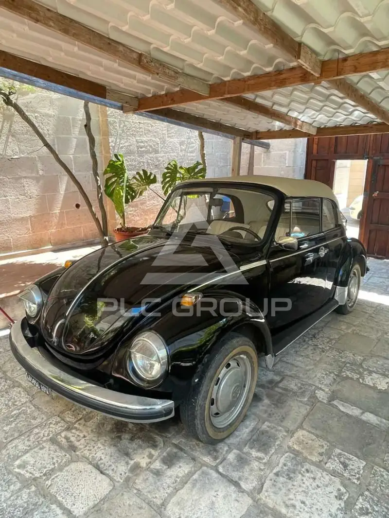1973 Volkswagen 