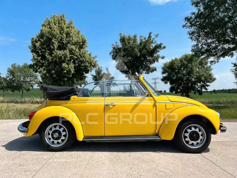 1973 Volkswagen 