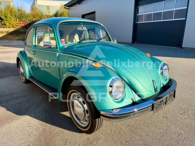 1973 Volkswagen BEETLE