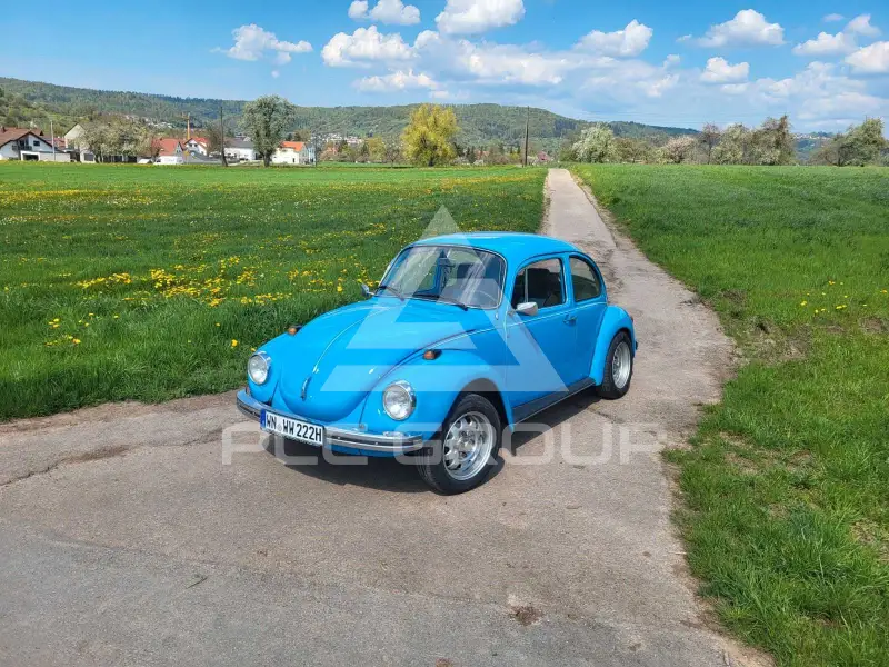 1973 Volkswagen 
