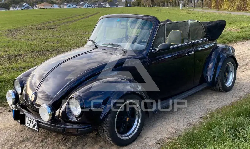 1973 Volkswagen 