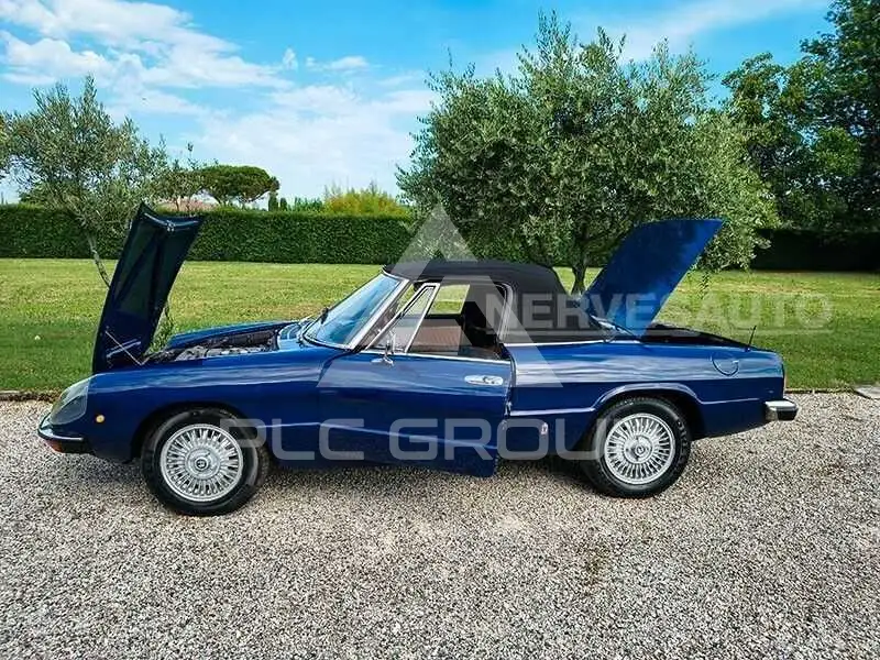 1974 Alfa Romeo Spider