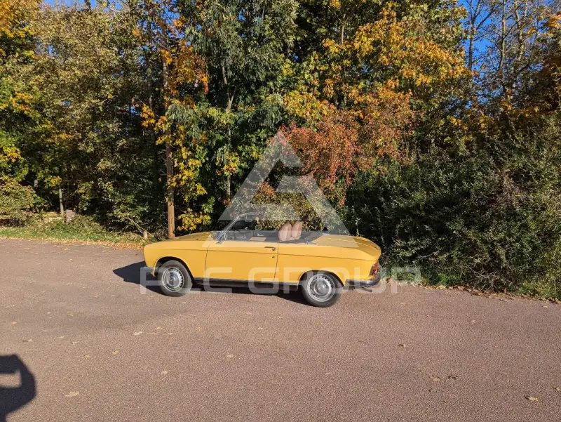 1974 Peugeot 304