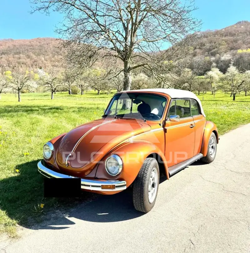 1974 Volkswagen BEETLE