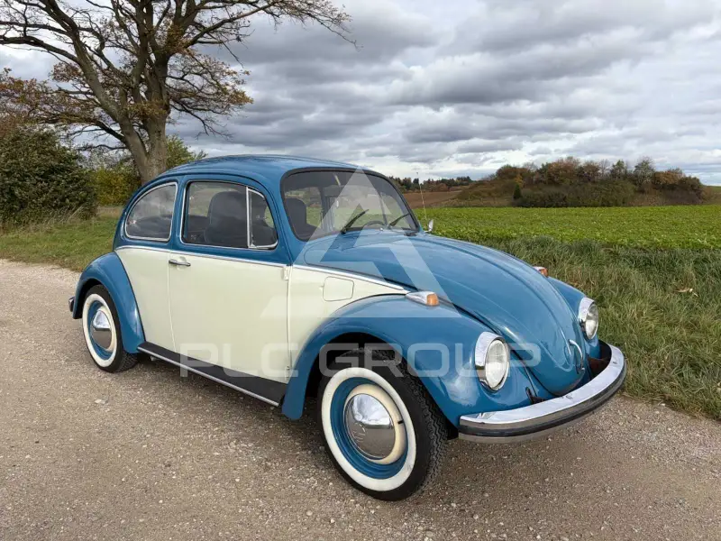1974 Volkswagen BEETLE