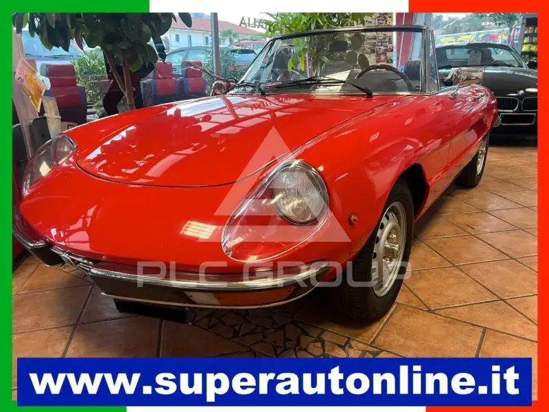 1975 Alfa Romeo Spider