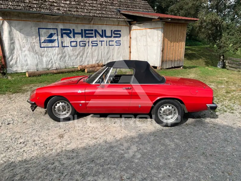 1975 Alfa Romeo Spider