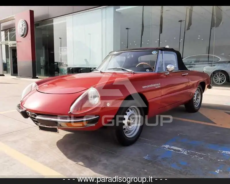 1975 Alfa Romeo Spider