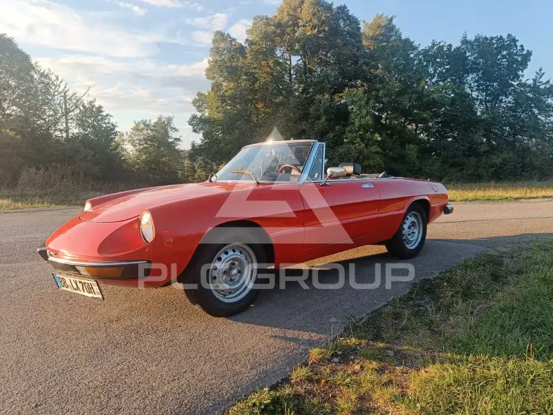 1976 Alfa Romeo Spider