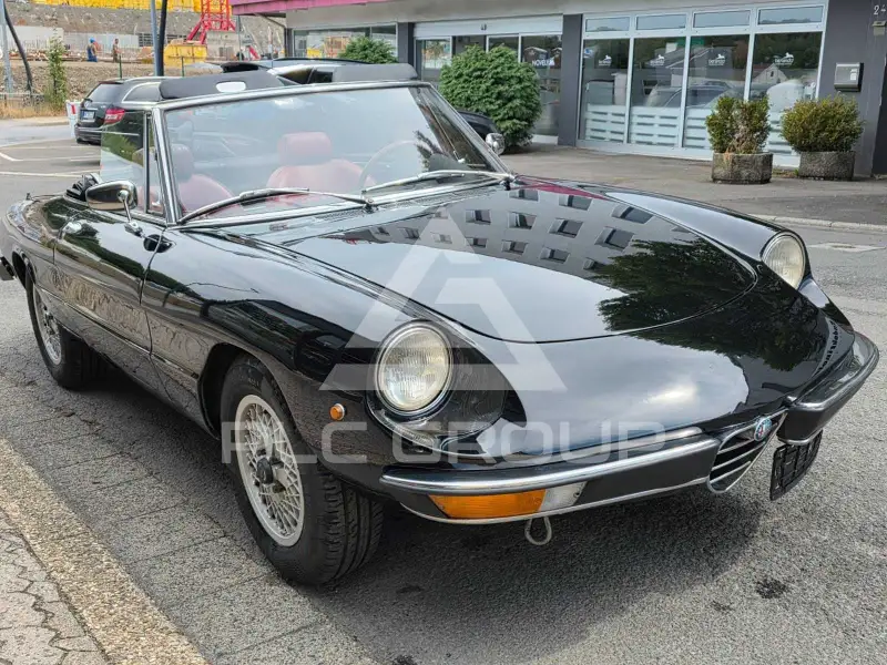 1976 Alfa Romeo Spider