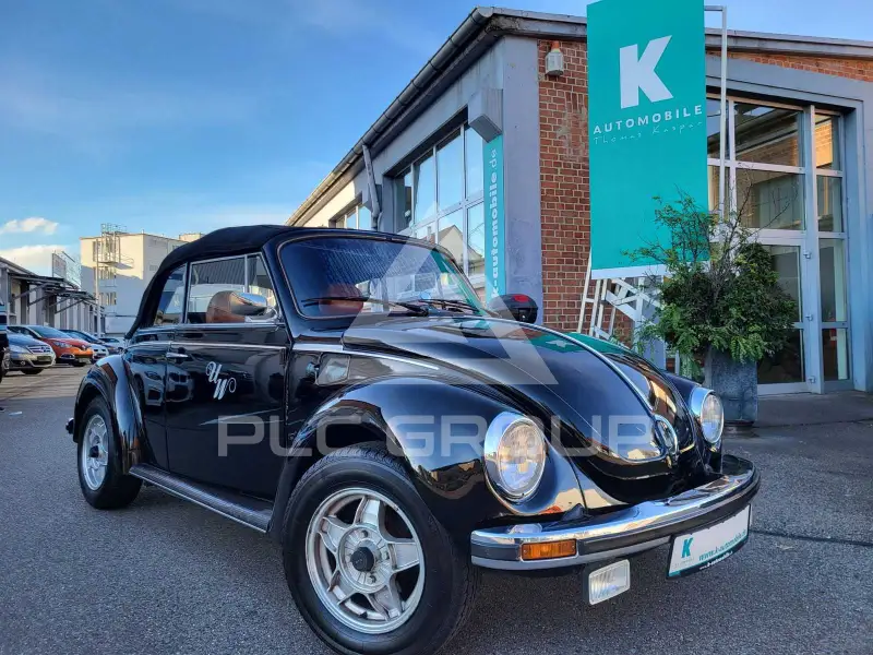 1976 Volkswagen BEETLE