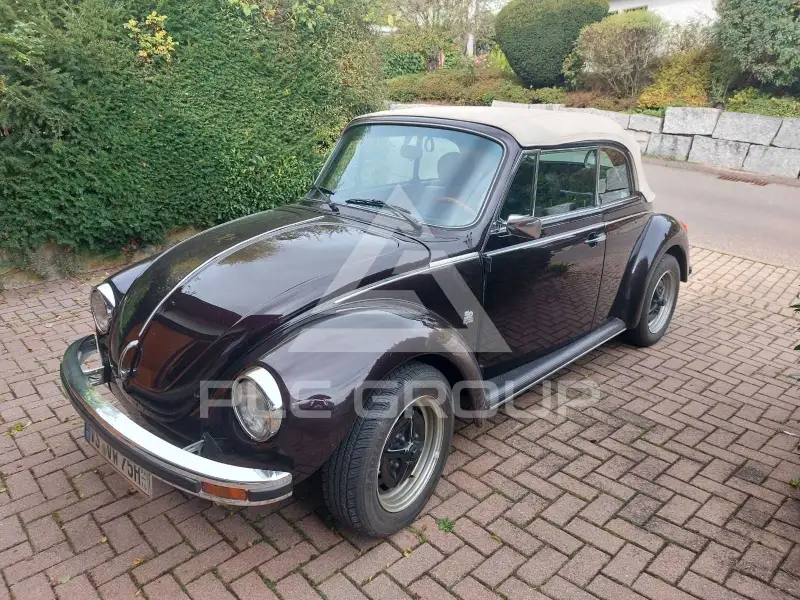 1976 Volkswagen BEETLE