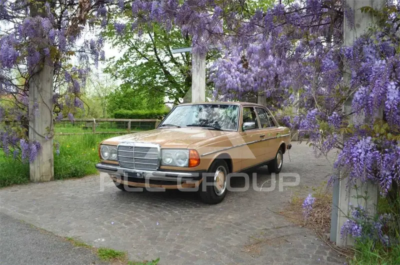 1977 Mercedes Benz Other