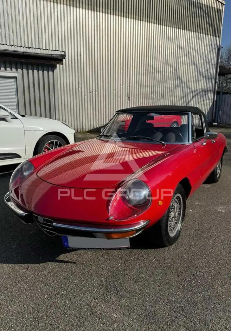 1977 Alfa Romeo Spider