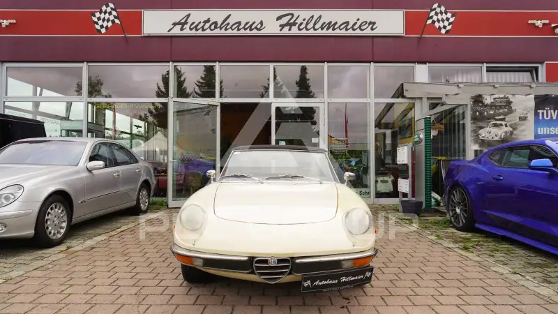 1977 Alfa Romeo Spider
