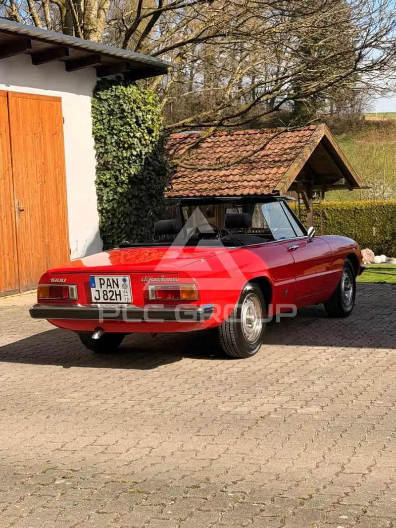 1977 Alfa Romeo Spider