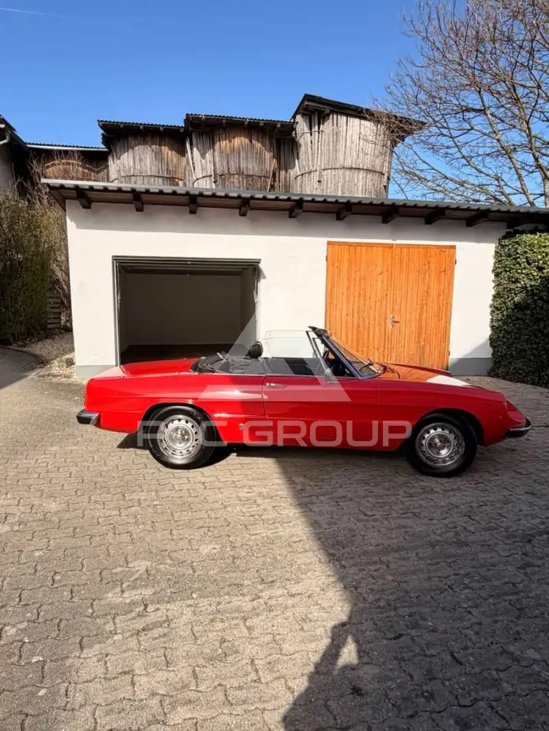 1977 Alfa Romeo Spider