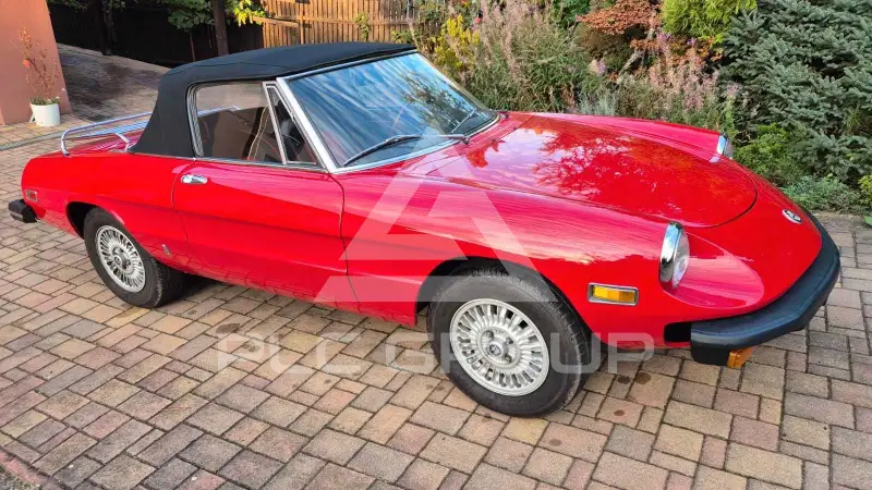 1977 Alfa Romeo Spider