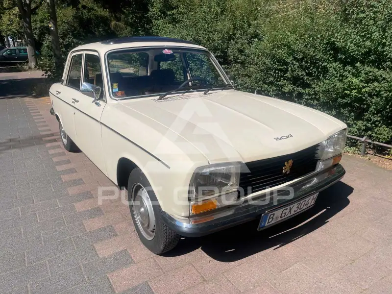 1977 Peugeot 304