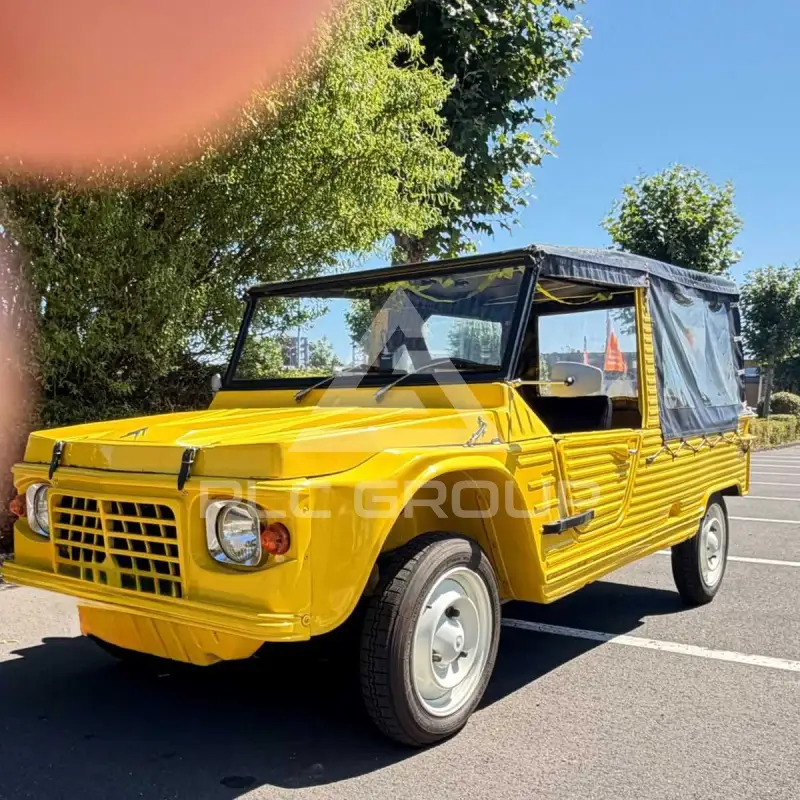 1977 Citroen Unknown