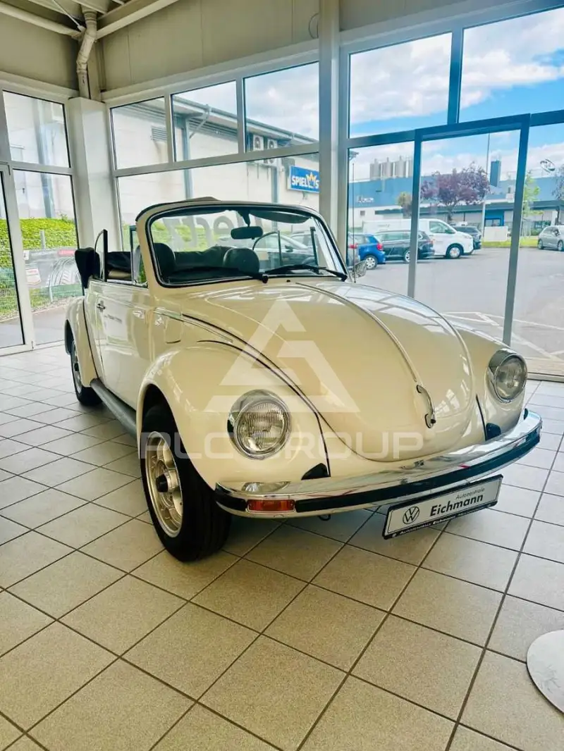 1977 Volkswagen BEETLE