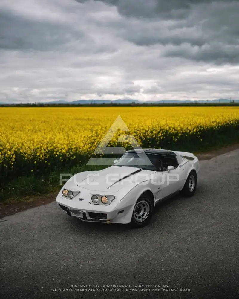 1978 Corvette C3